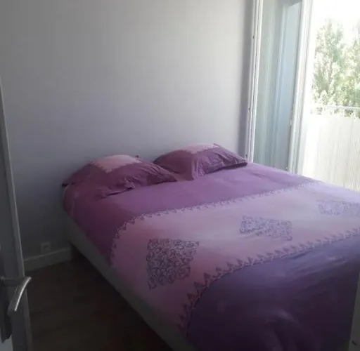 Апартаменты Neuf Avec Piscine Et Bord De